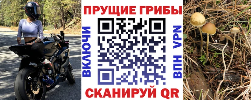 нарко площадка наркотические препараты  Хотьково  Псилоцибиновые грибы Psilocybe 